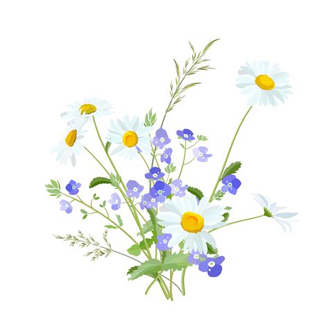 Blue Wild Flowers Vector Graphics On Behance