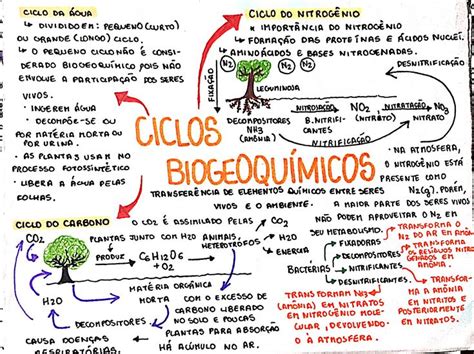 Pin De Fabio Costa Em Bio Dicas De Blog Ciclo Do Carbono Resumos Enem
