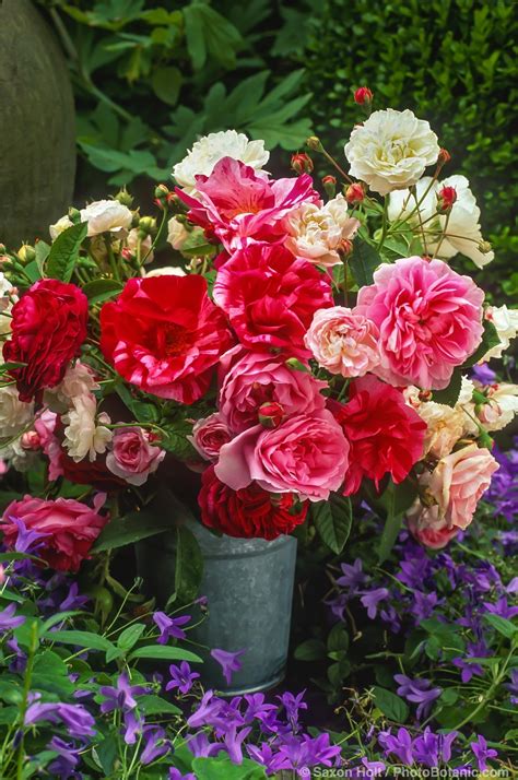 We did not find results for: Rose Bouquets