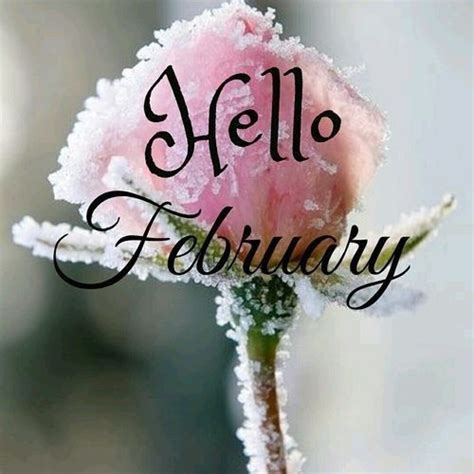 Pin By Heathen Wolf On Winter February Wallpaper Welcome February