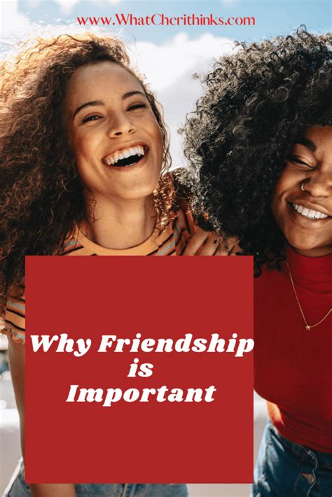 12 Reasons Friends Are Important In Your Life 2024
