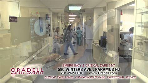 Freehold animal hospital ⭐ , united states of america, state of new jersey, monmouth county: MM17013 Oradell Animal Hospital 24 hours - YouTube