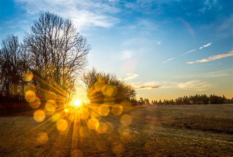 обои Солнечный лучик Деревьями пейзаж закат солнца природа небо