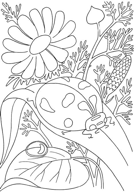 You can either choose to color your drawings online or print them to color and offer them to your family and friends. Lady bug and flower coloring page