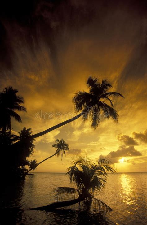 Asia Indian Ocean Maldives Seascape Beach Stock Photo Image Of