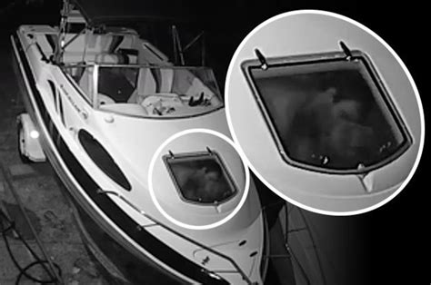 Sex Boat Thieves Raid Yacht Then Put On Steamy Show For Cctv Cameras