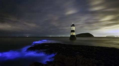 Bing Image Bioluminescence At Trwyn Du Lighthouse In