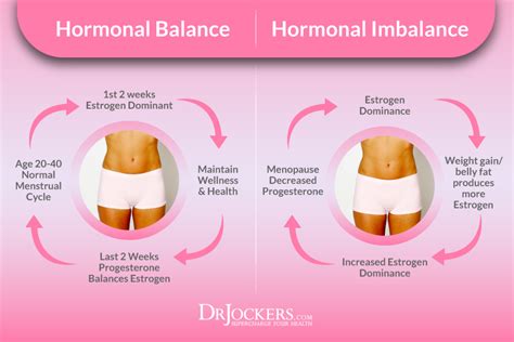 Sensitive to the effect of that hormone, and then the hormone can't activate the transcriptors and do what it's be teaching that a certain amount of hormonal imbalance at these stages in life is absolutely normal. Factors Causing Estrogen Dominance - DrJockers.com