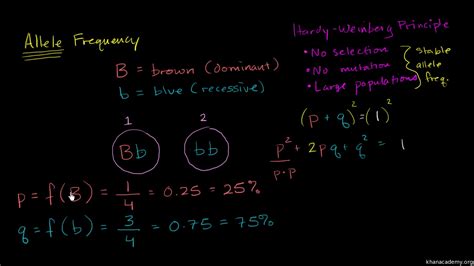 Start studying hardy weinberg problem set. Fajarv: P22pqq21 Example
