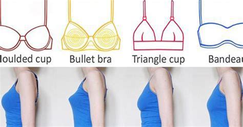 What Are The Different Bra Cup Sizes About Bras