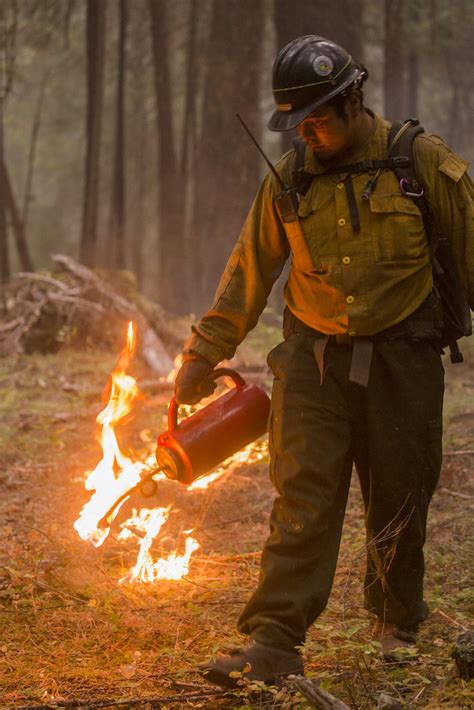 Firefighter With Drip Torch Umpqua National Forest Fires Flickr