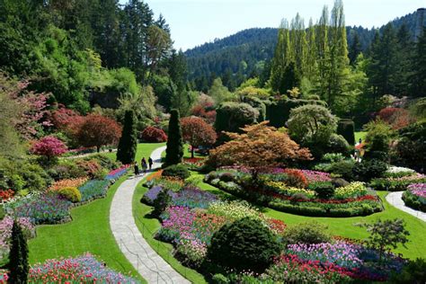 If you've never gardened before, don't worry! Fare Deals, Victoria: Magnolia Hotel & Spa promotes ...