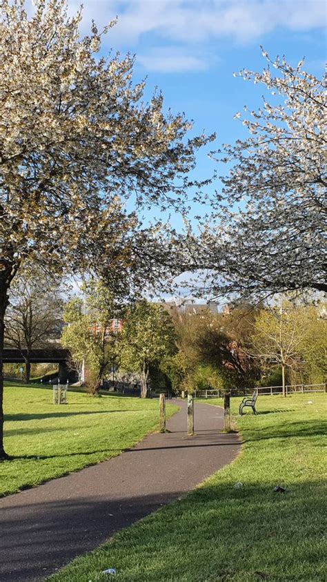 Willmott Park Lunchtime Stroll Bristol Walk Fest