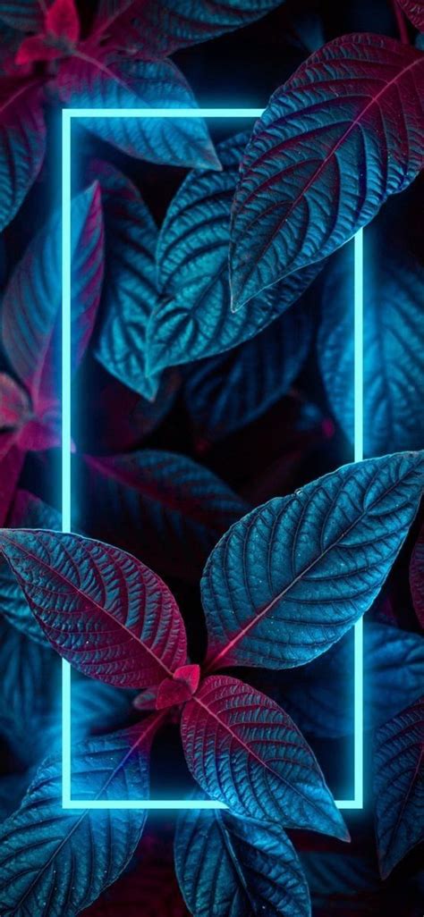 Choose from hundreds of free neon wallpapers. #Wallpaper #beautiful #leaf #blue #nice #beautiful #hot # ...