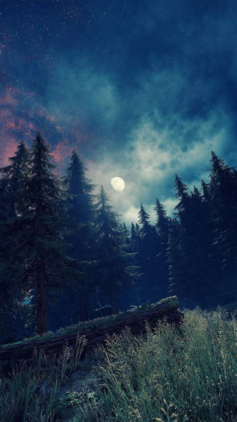 Moonlight Forest Wallpapers Top Free Moonlight Forest Backgrounds