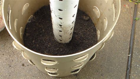 Vertical Gardening Build A Grow Tower Barrel Worm Tube