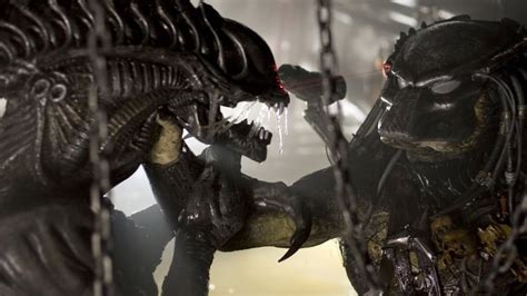 Aliens Vs Predator Requiem Movie Forums