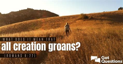 What Does It Mean That All Creation Groans Romans 822