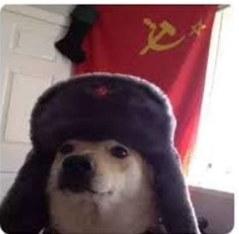 Создать мем Comrade Doggo котик в шапке ушанке собака в ушанке