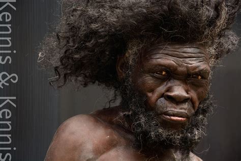 historycy org Czego brakowało Neandertalczykom