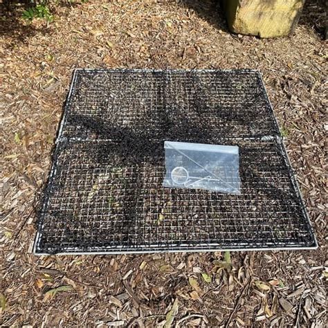 Large Bird Net Trap Professional Trapping Supplies