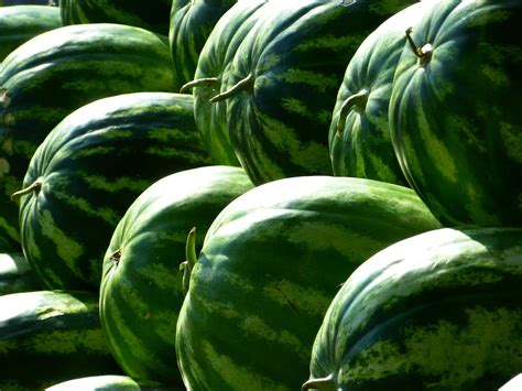 Green Piled Watermelon · Free Stock Photo
