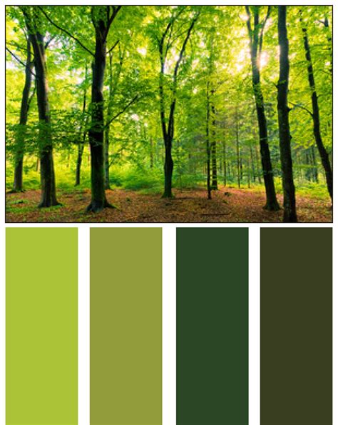 Nature Color Palette