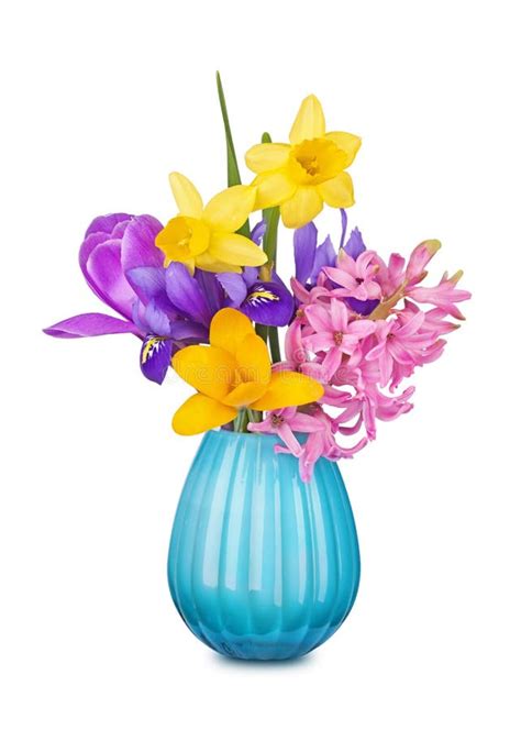 Colorful Spring Flowers In A Vase Stock Image Image Of Blue Color