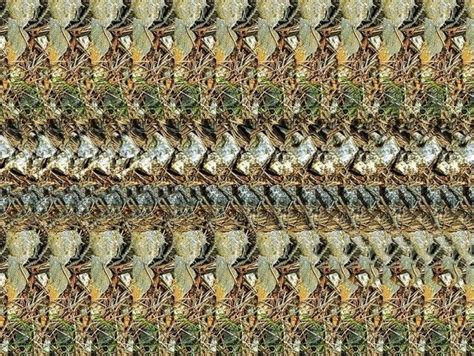 Stereograms To See Hidden 3d Images 30 Pics Hidden 3d Images Magic Eyes Image 30