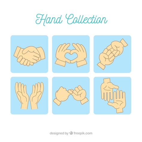 Free Vector Hands Collection With Different Poses In Hand Drawn Style