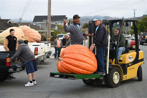 Huge Pumpkin Weighing 2175 Pounds Sets California Record In Half Moon Bay
