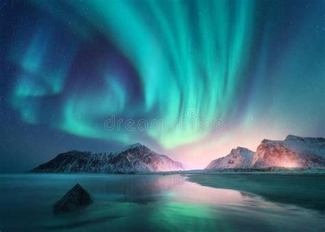 Aurora Borealis Over The Sea And Snowy Mountains Northern Lights Stock