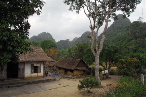 Traditional Rural Vietnamese Thatched Huts Near The Entrance To Cat Ba