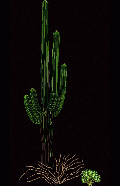 Saguaro Cactus 2d Dwg Elevation For Autocad Designs Cad