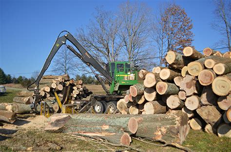 Logging Process Indiana Timber And Veneer Llc