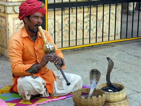 India Snake Charmer Dscn0224 Irene Pomianowski Flickr