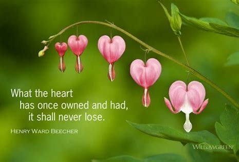 Maybe you would like to learn more about one of these? Image result for flowers that represent grief | Bleeding ...
