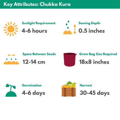Chukka Kura Seeds Homecrop