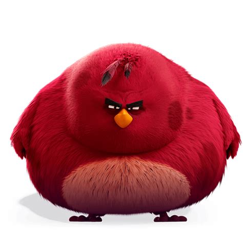 Angry Birds — Fmdos