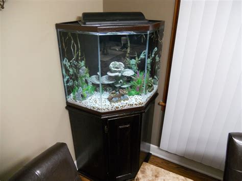 Corner Fish Tanks For Sale Near Me You Can Find A Wide Range Of Big