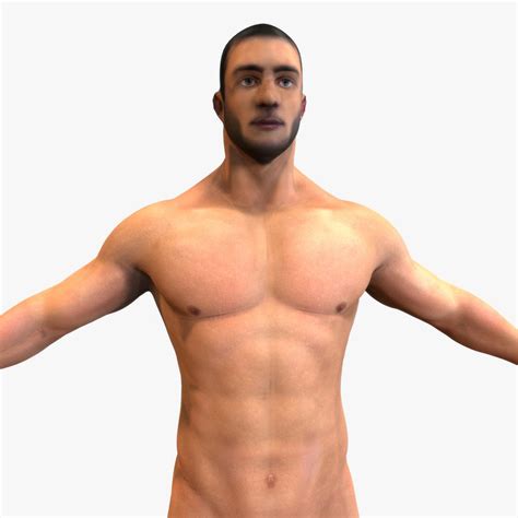 D Model Male Modeled Anatomy