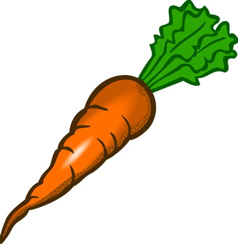 Carrot Vegetable Food · Free Vector Graphic On Pixabay