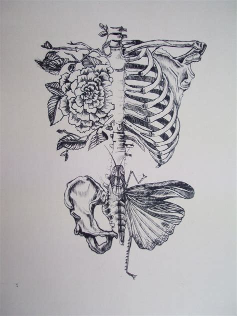 Esqueleto Humano Mariposa Esqueletos Pinterest Art Drawings