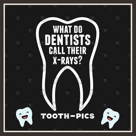 17 funny dental quotes and sayings hallence