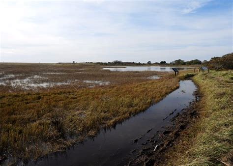 Monomoy National Wildlife Refuge Chatham 2021 All You Need To Know Before You Go Tours