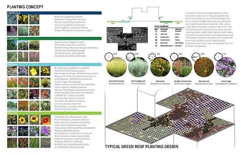 Landscape Architecture Students Shine In Texas Asla Design Competition