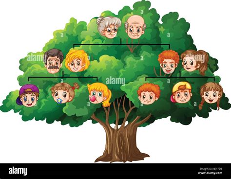 Ilustración De Un árbol Genealógico Completados Imagen Vector De Stock