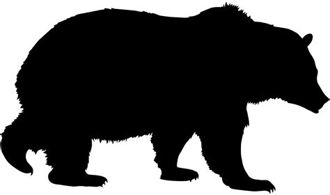 Grizzly Bear Silhouette Free Vector Silhouettes