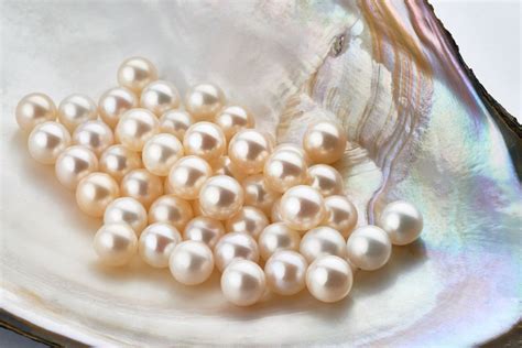 Untreated And Undrilled Round Freshwater Pearls Akoya Pearls Cultured