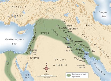 Os Estados Teocráticos Da Mesopotâmia E Do Egito Evoluíram